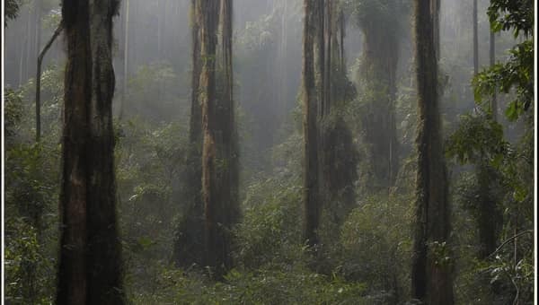 Hantu Kalimantan Paling Angker